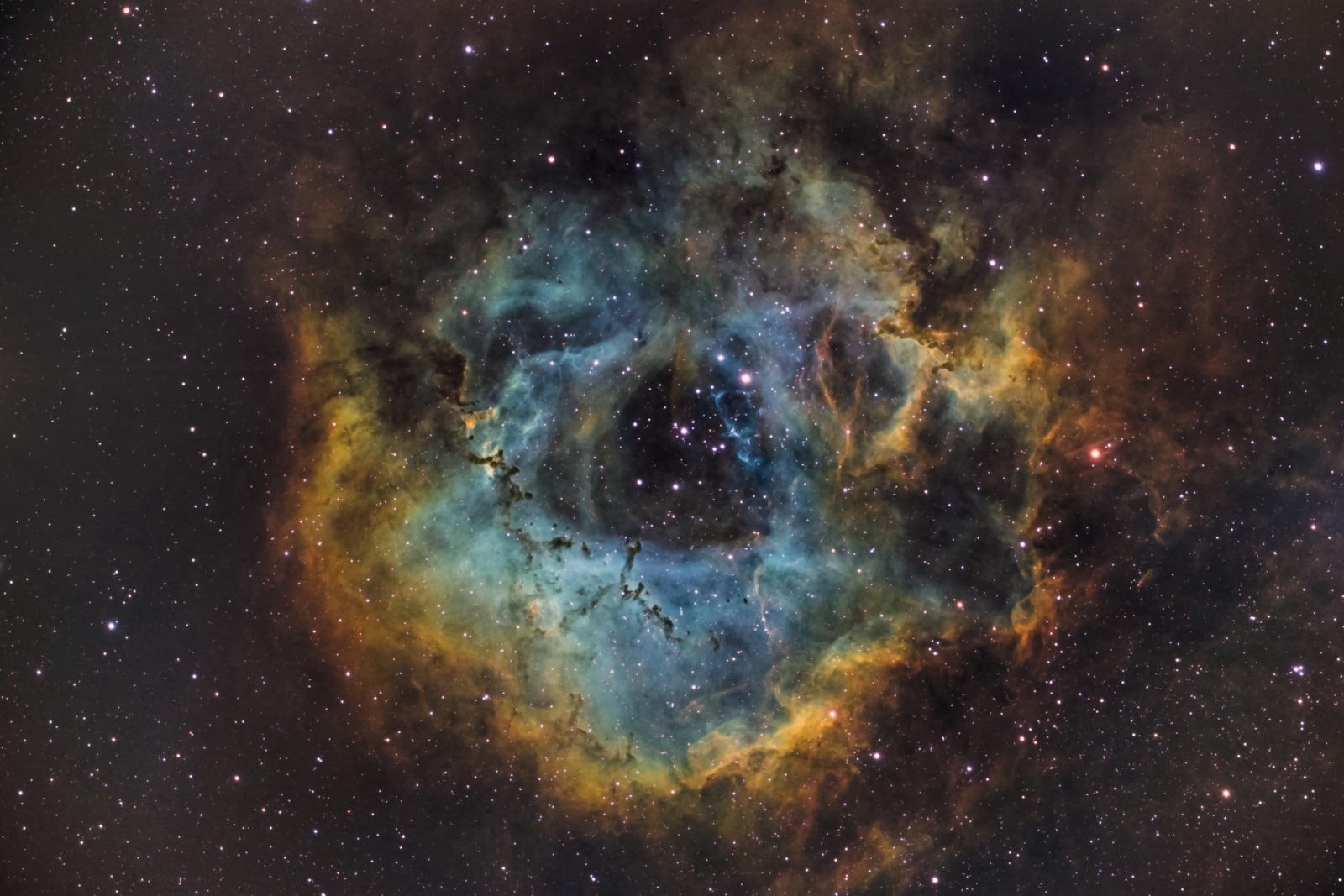 W kosmosie komórki rakowe się rozpadają. Badacze chcą to wykorzystać na Ziemi