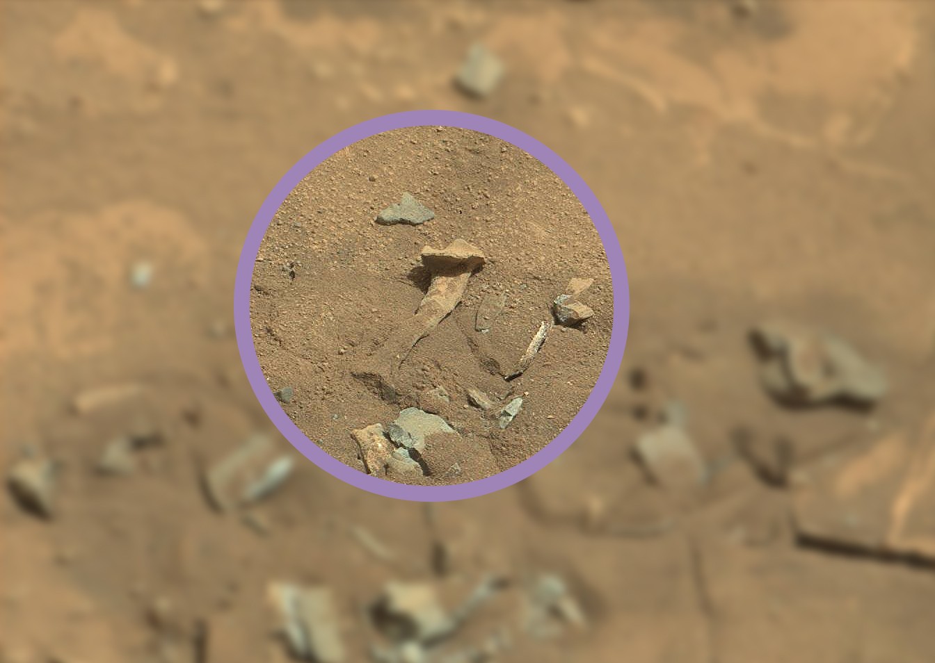 “Ludzka kość” znaleziona na Marsie nie jest nową sprawą. Wyjaśniamy, o co chodzi ze zdjęciem