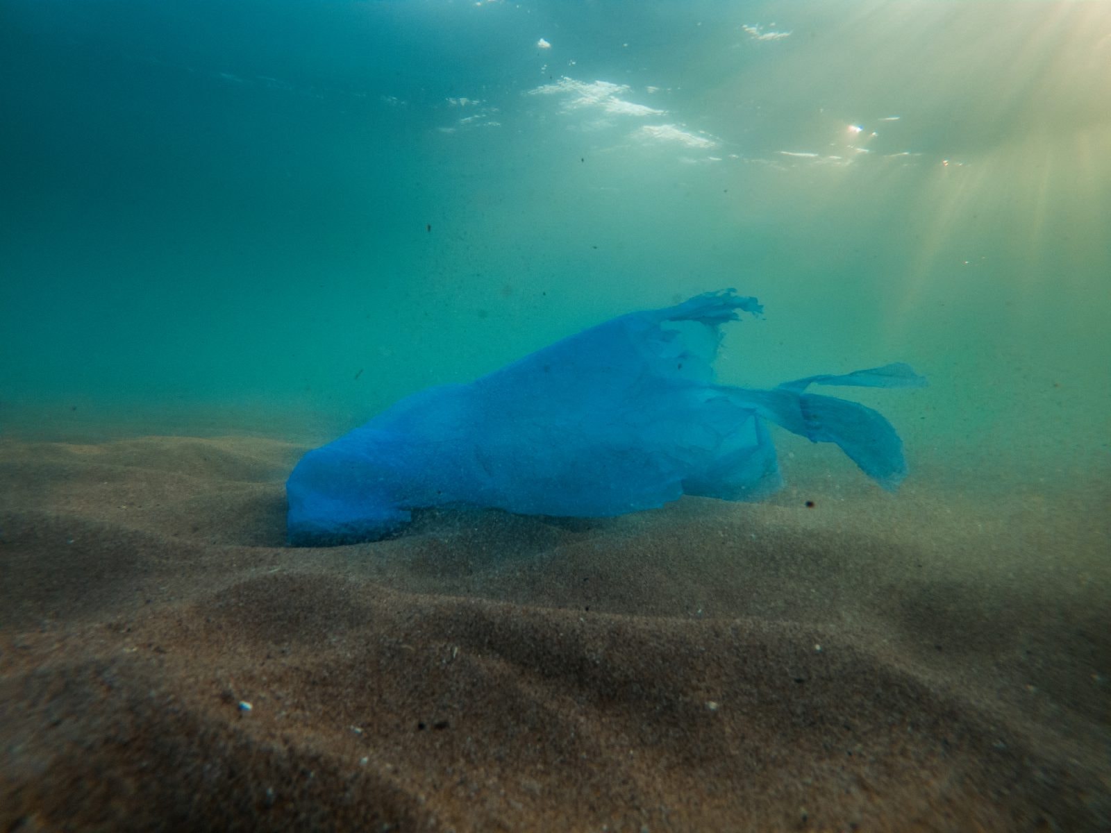 Badacze natknęli się na śmieci sprzed 20 lat. Wyniki są przygnębiające