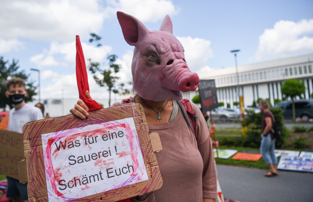 Nowe ognisko koronawirusa w zakładach mięsnych w Tönnies. Pracuje tam 900 Polaków