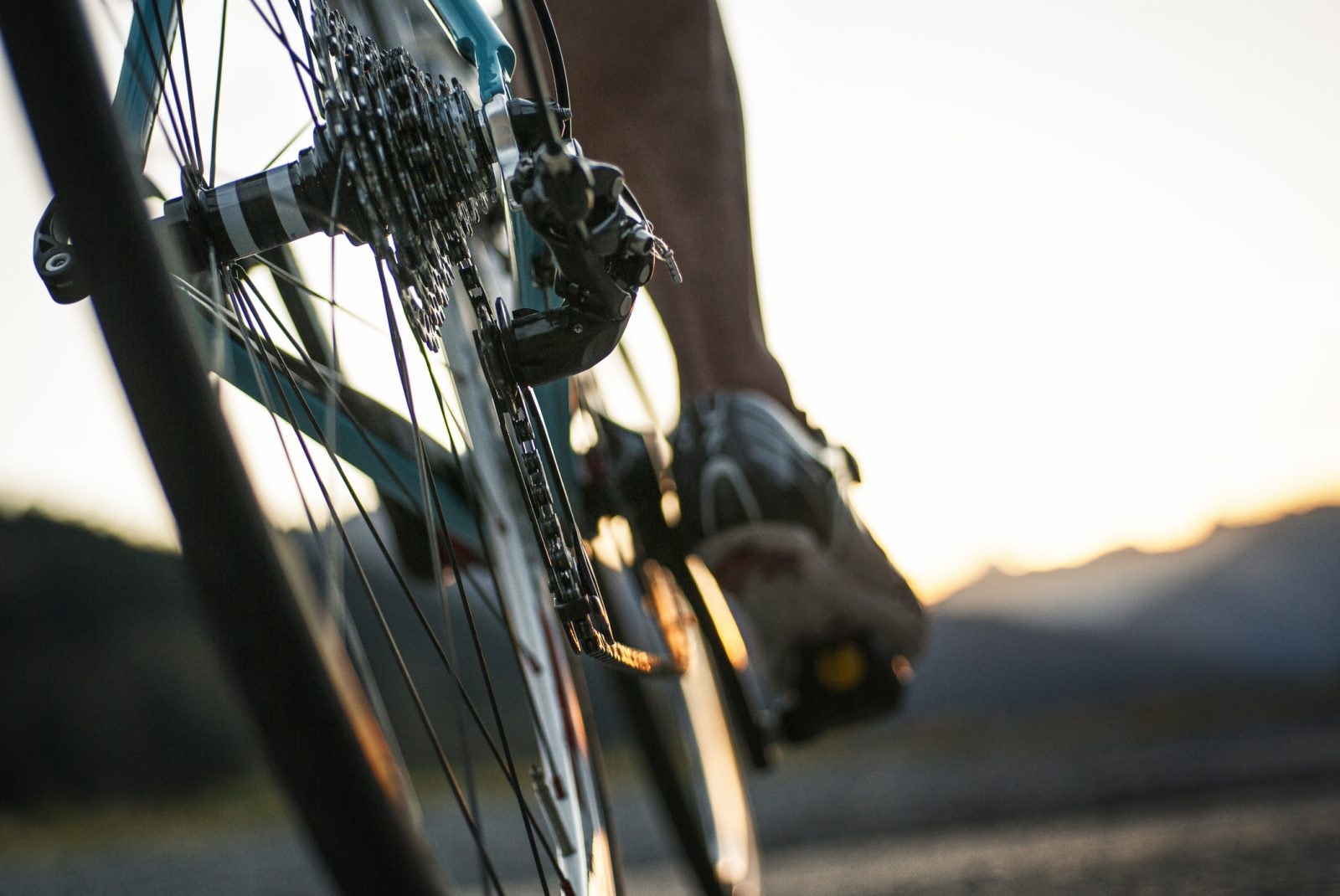 Dwa kółka w pionie, czyli jak działa rower?