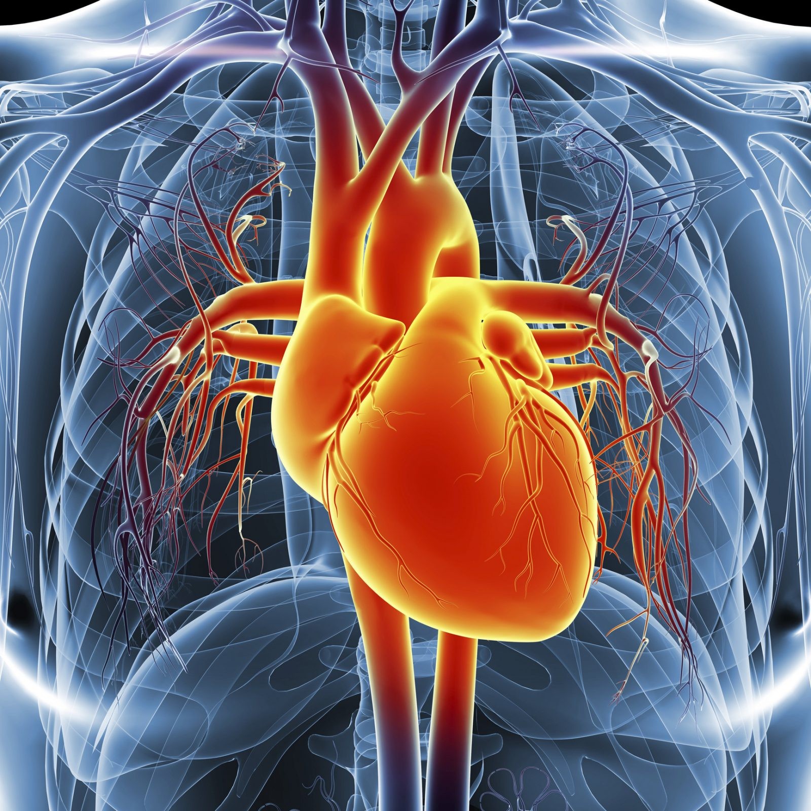 COVID-19 atakuje serce nawet u zdrowych ludzi