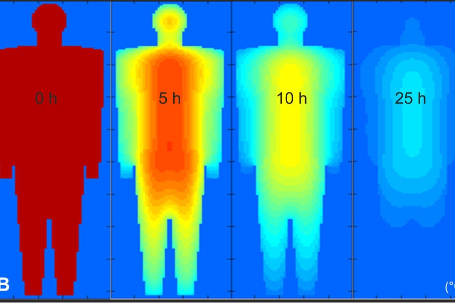 Technologia 3D na miejscu zbrodni. Pomoże określić czas zgonu co do minuty