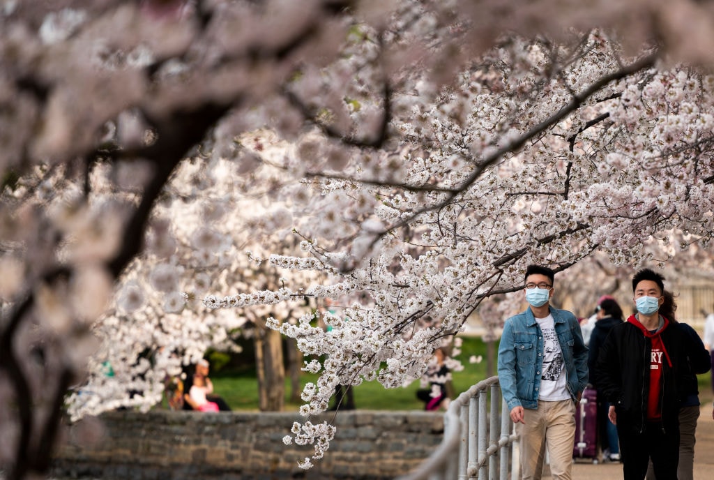 Wiosna i lato pomogą zatrzymać pandemię. Nowe badania dają nadzieję