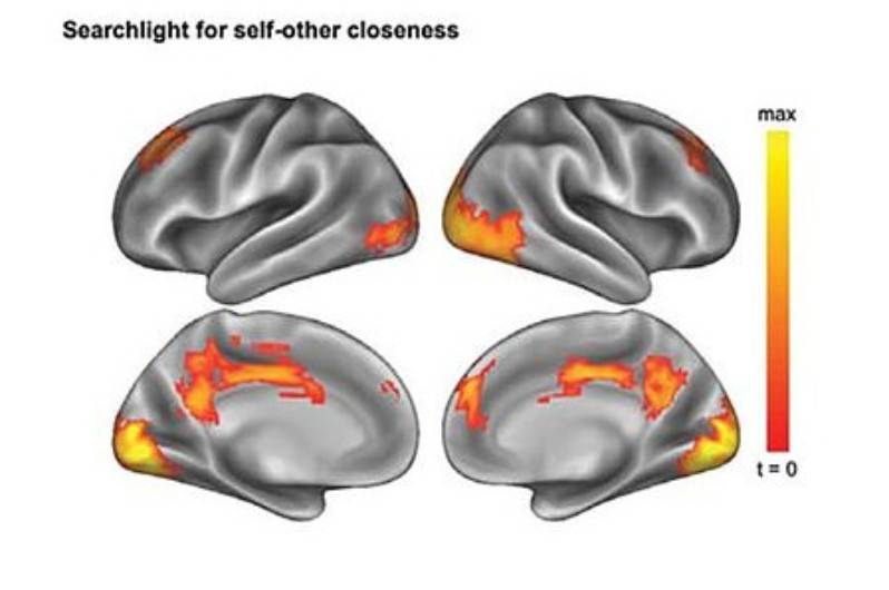 „Mózg społeczny” skazuje nas na samotność? Oto jak neurony wpływają na życie towarzyskie