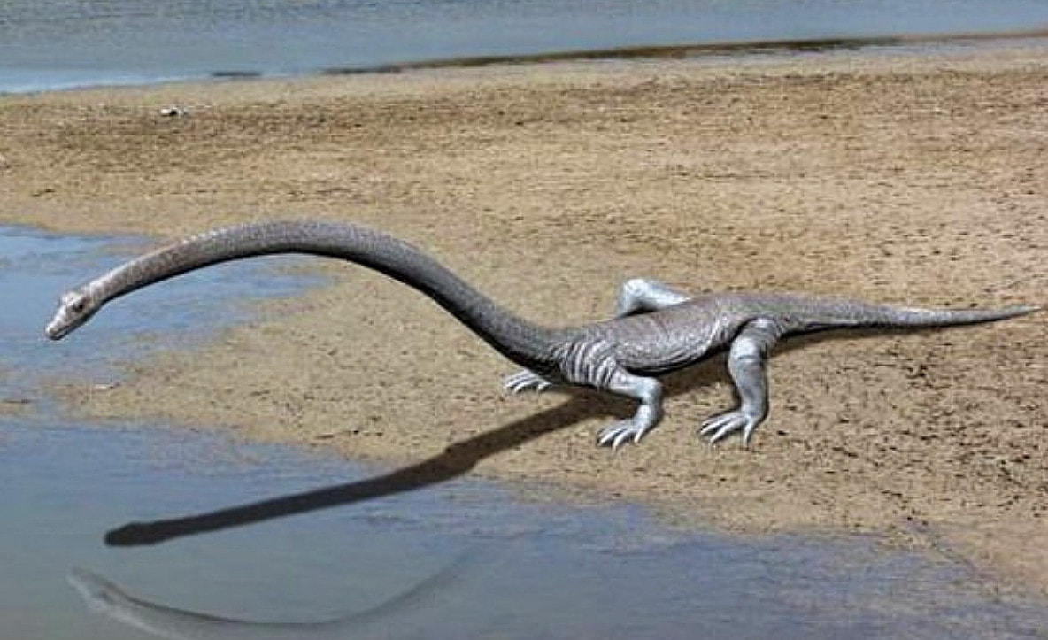 Zagadka tanystropheusa rozwiązana. Już wiadomo, do czego służyła ekstremalnie długa szyja