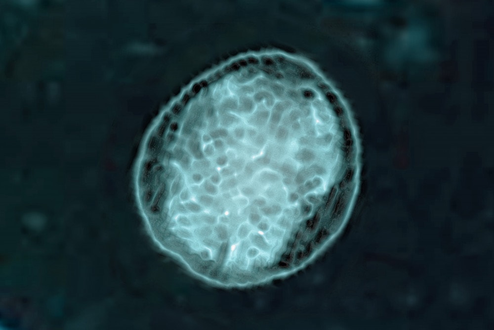 Wyciek z fabryki farmaceutycznej w Chinach winny nowej epidemii. Tysiące zarażonych brucelozą