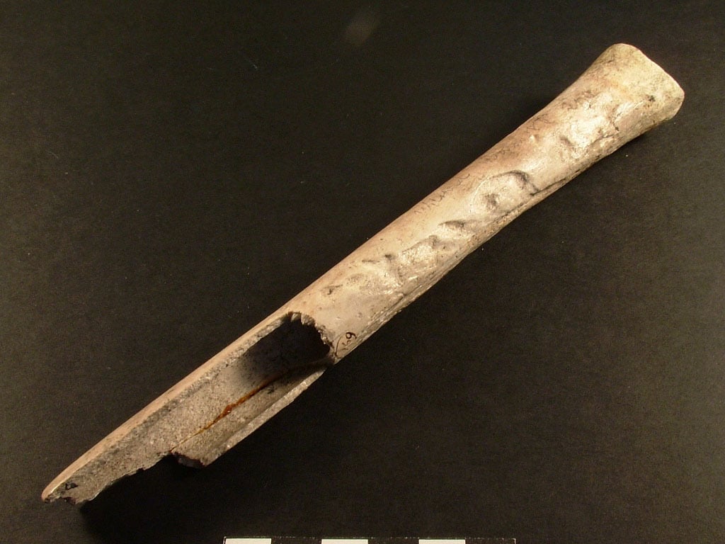 Przodkowie Brytyjczyków ze szczątków bliskich robili ozdoby