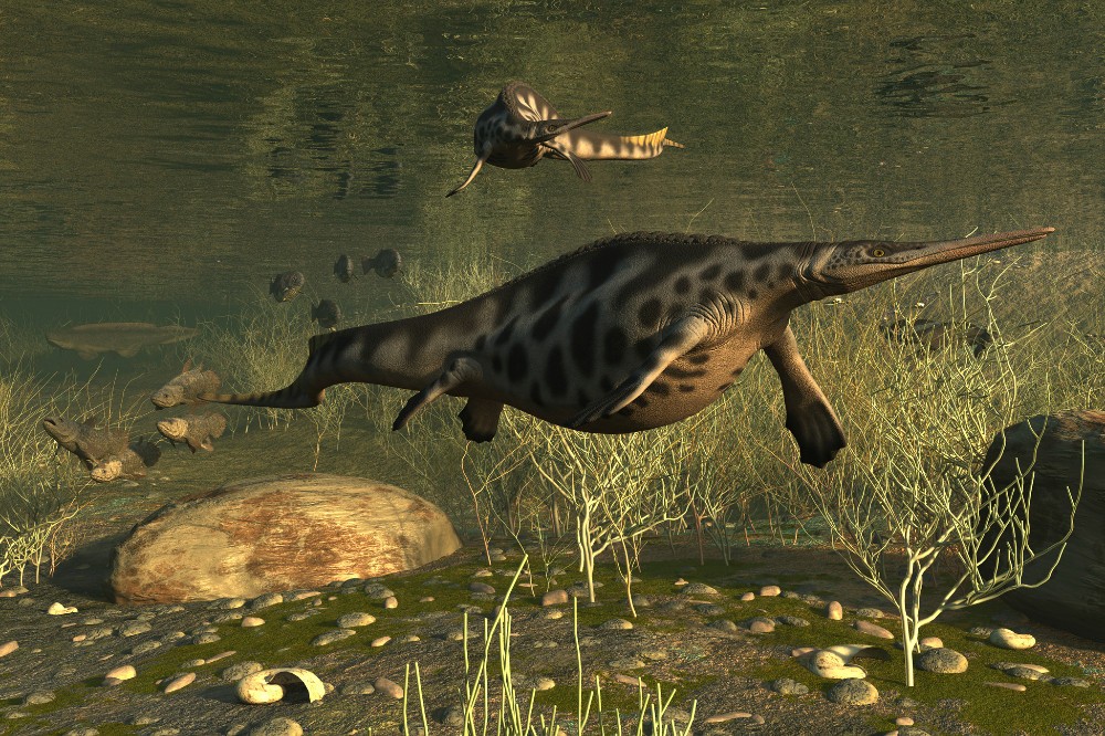 Ichtiozaury – połączenie rekina, jaszczurki i delfina. Jak żyły, oddychały i czym się żywiły te prehistoryczne zwierzęta?