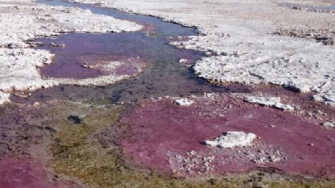 Naukowcy już wiedzą, czym oddychały organizmy na Ziemi, zanim pojawił się tlen