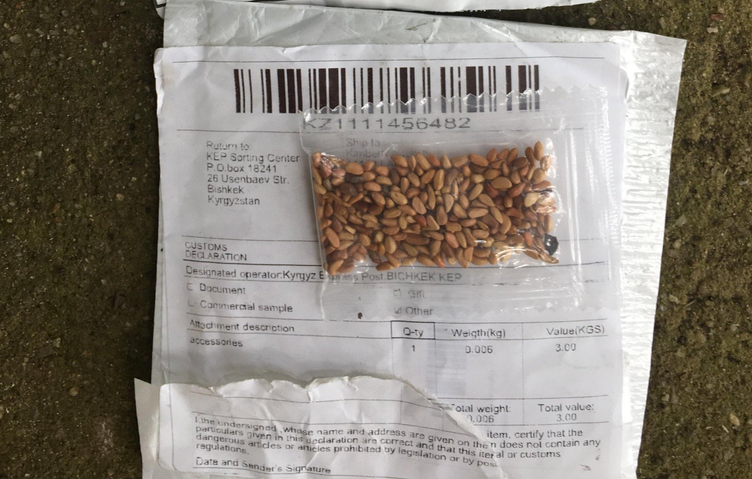 Z Chin do USA trafiają „dziwne przesyłki” z nasionami. „Pod żadnym pozorem nie sadzić”