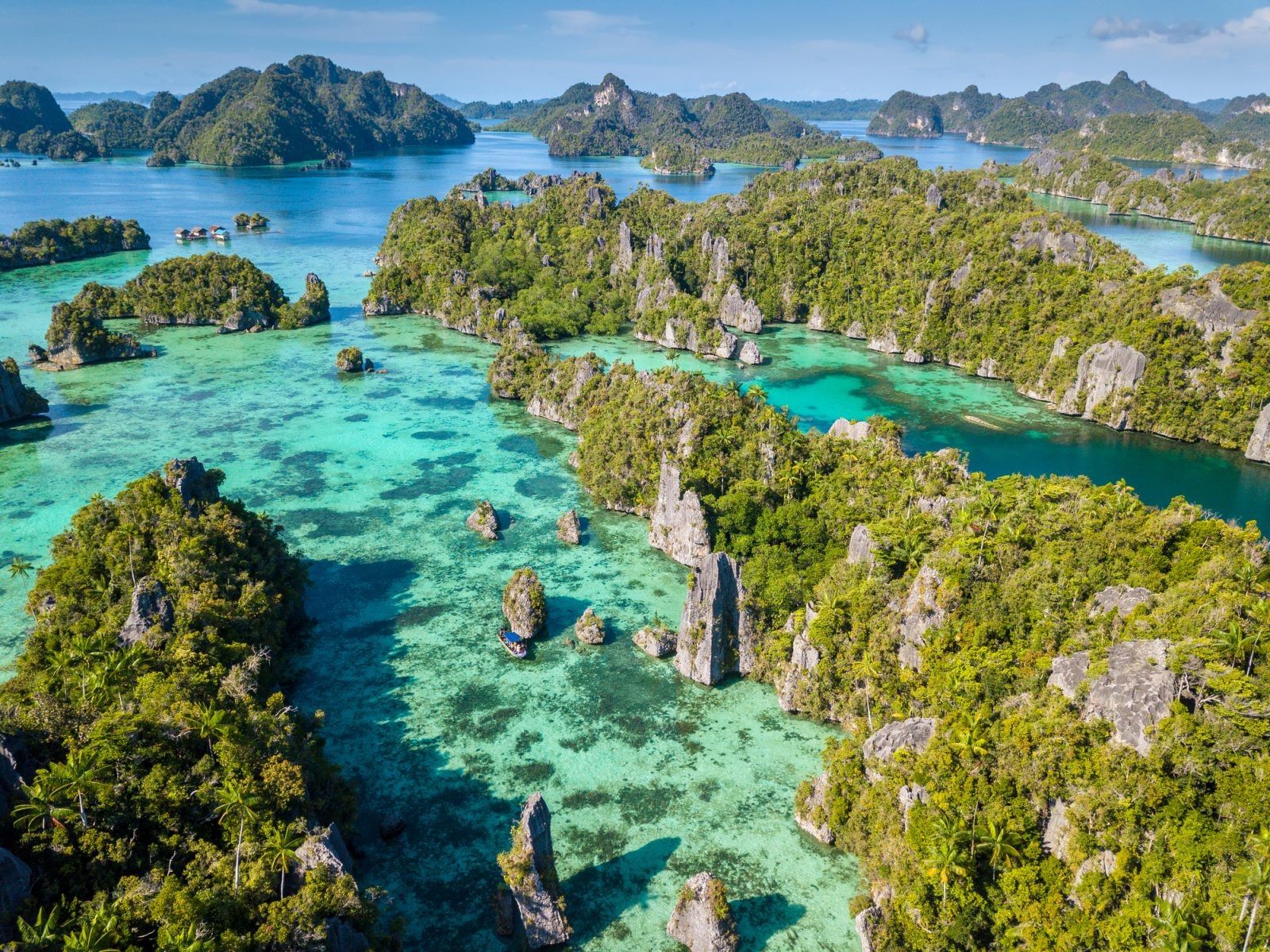 Pierwszy katalog wszystkich roślin Nowej Gwinei. 2/3 żyje tylko tam