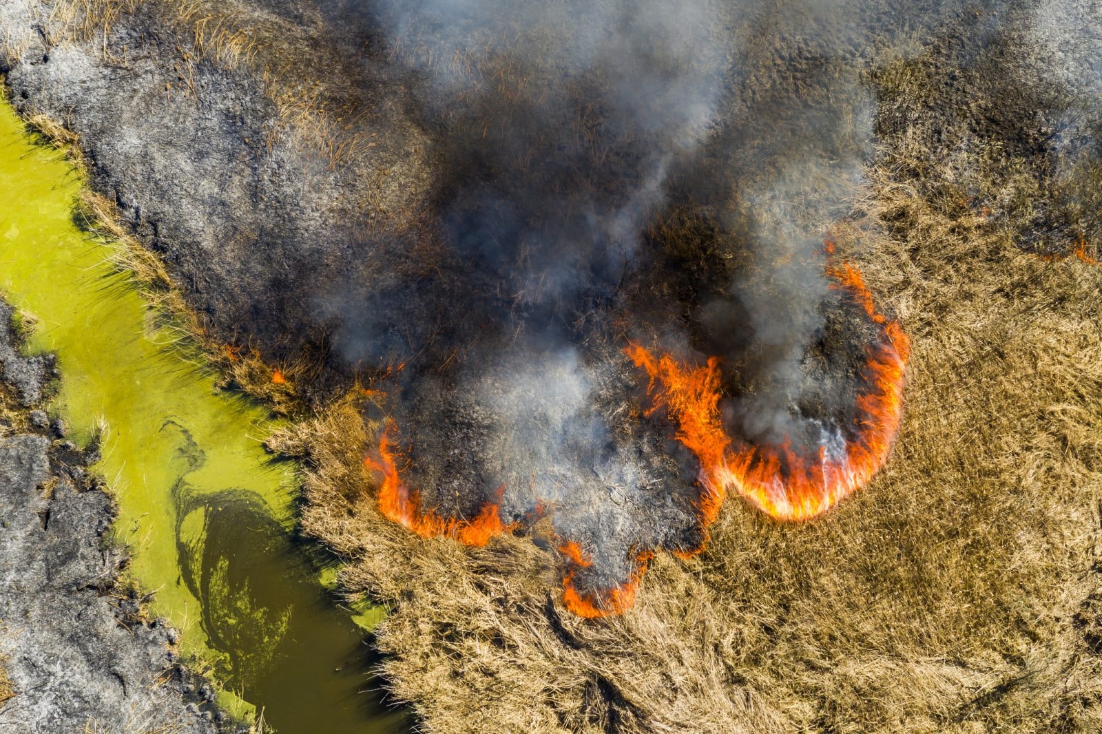 Płonie syberyjska tundra. Naukowcy alarmują, że Arktyka stanie się jeszcze cieplejsza