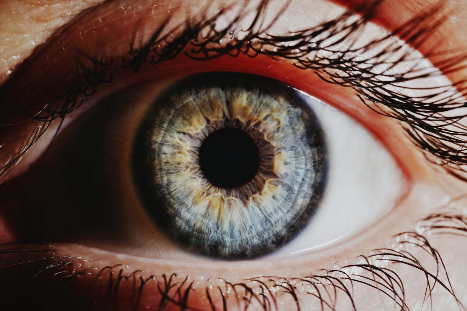 Oko czy mózg – co tak naprawdę pozwala nam widzieć? Odpowiedzi szukamy w „Czego oczy nie widzą”