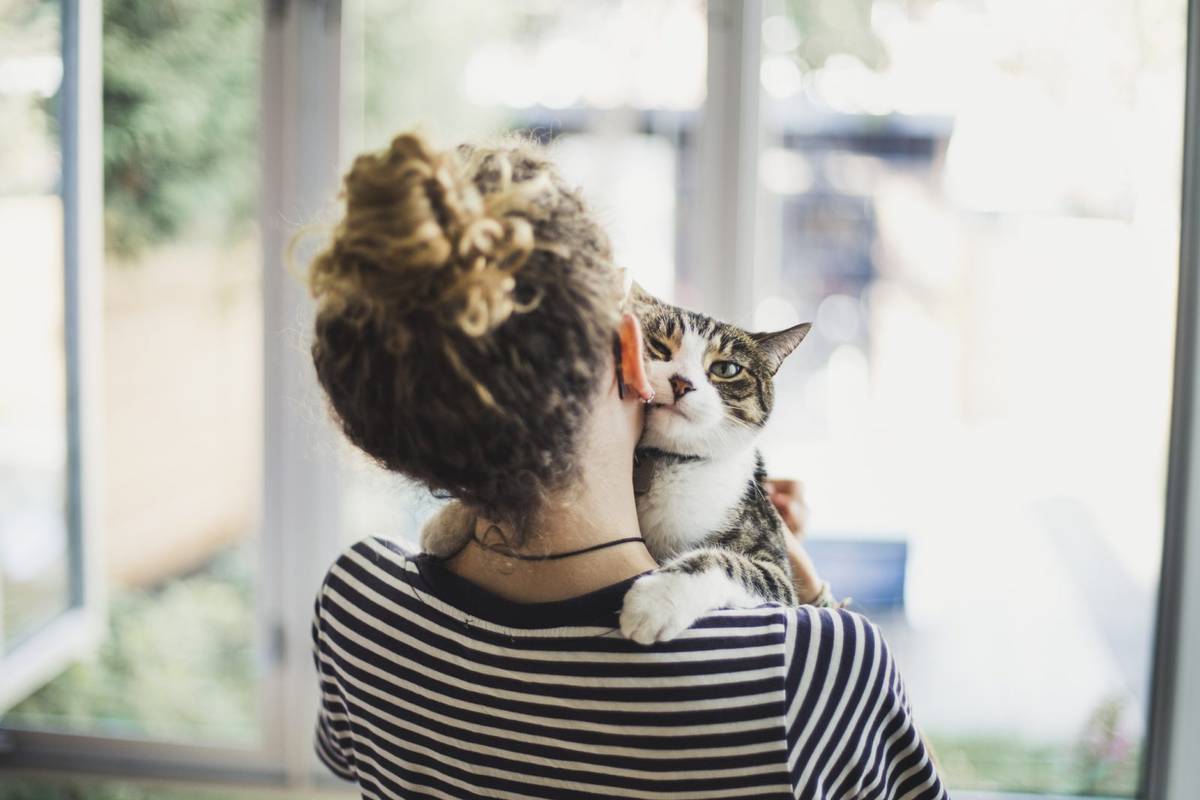 Co myśli i czuje twój kot? Wyjaśnia „zaklinacz kotów” – Yuki Hattori