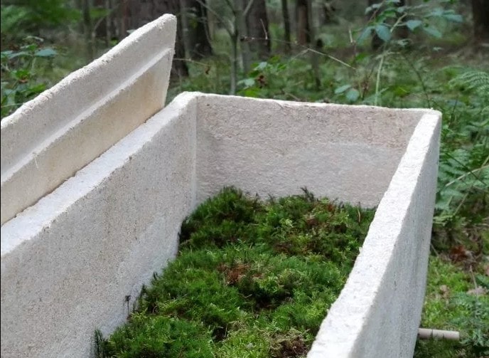 Żywa trumna – zbudowana z grzybni. Holenderski start-up podbije rynek?