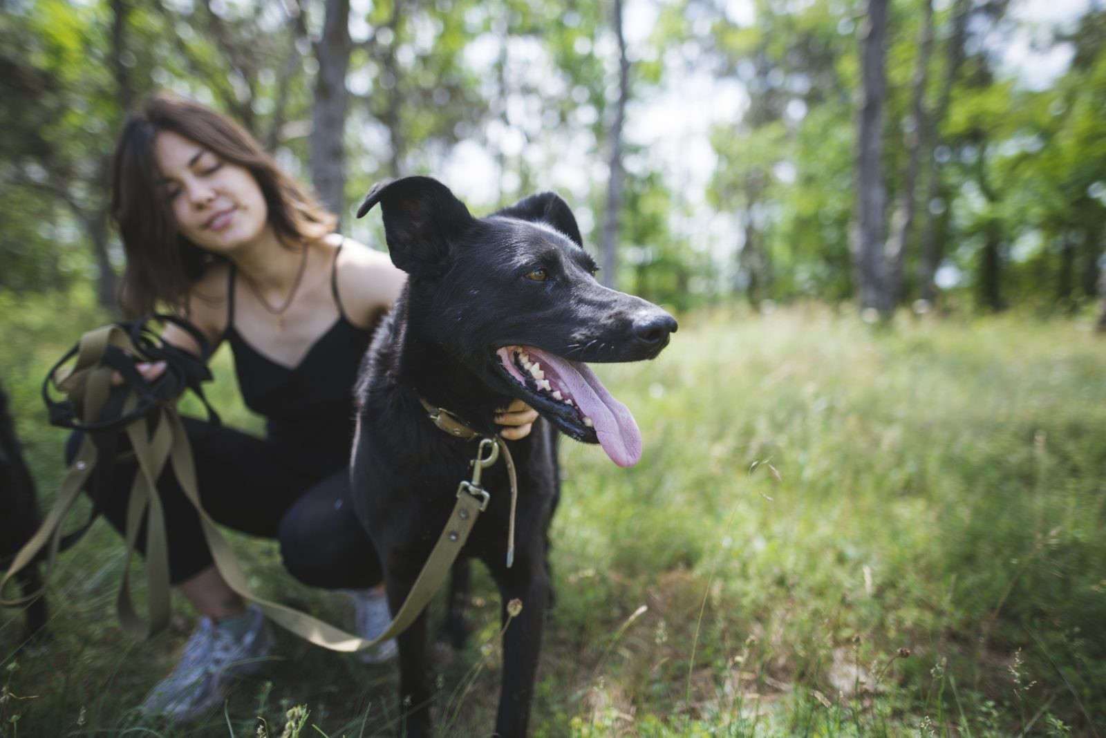 Obowiązkowy spacer z psem i zakaz używania łańcucha. Nowe prawo chroniące zwierzęta w Niemczech
