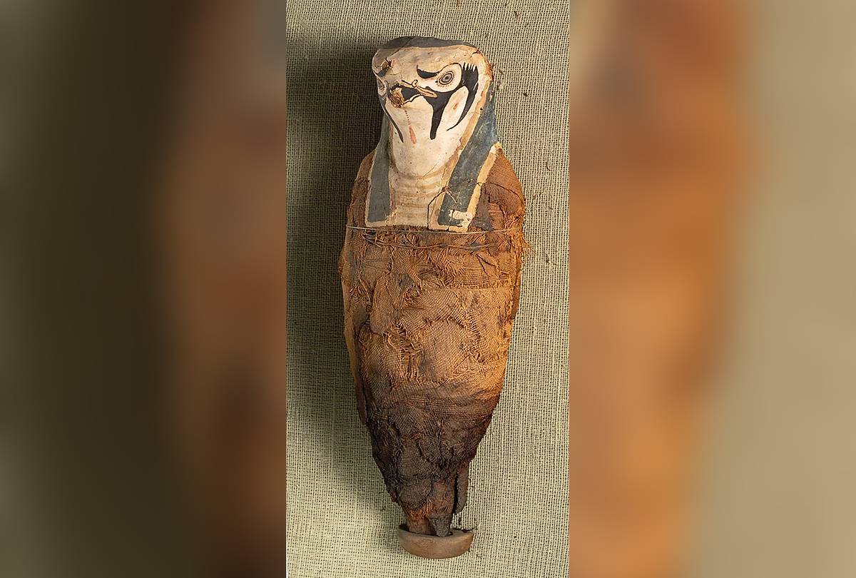 Tajemnica egipskiego sarkofagu odkryta. Wewnątrz miało być ludzkie serce, ale szczątki nie były ludzkie