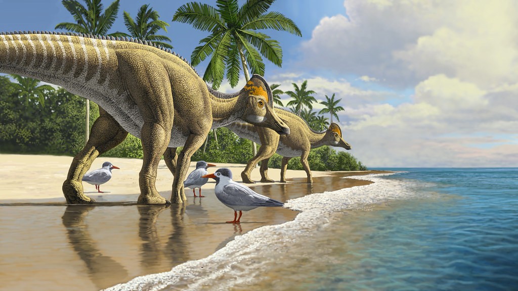 Kaczodzioby dinozaur odkryty na “niewłaściwym” kontynencie