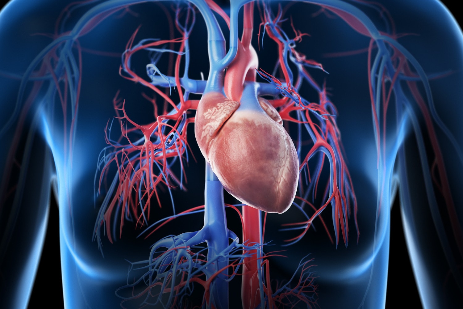 Człowiek wciąż ewoluuje. Coraz więcej z nas rozwija dodatkową tętnicę