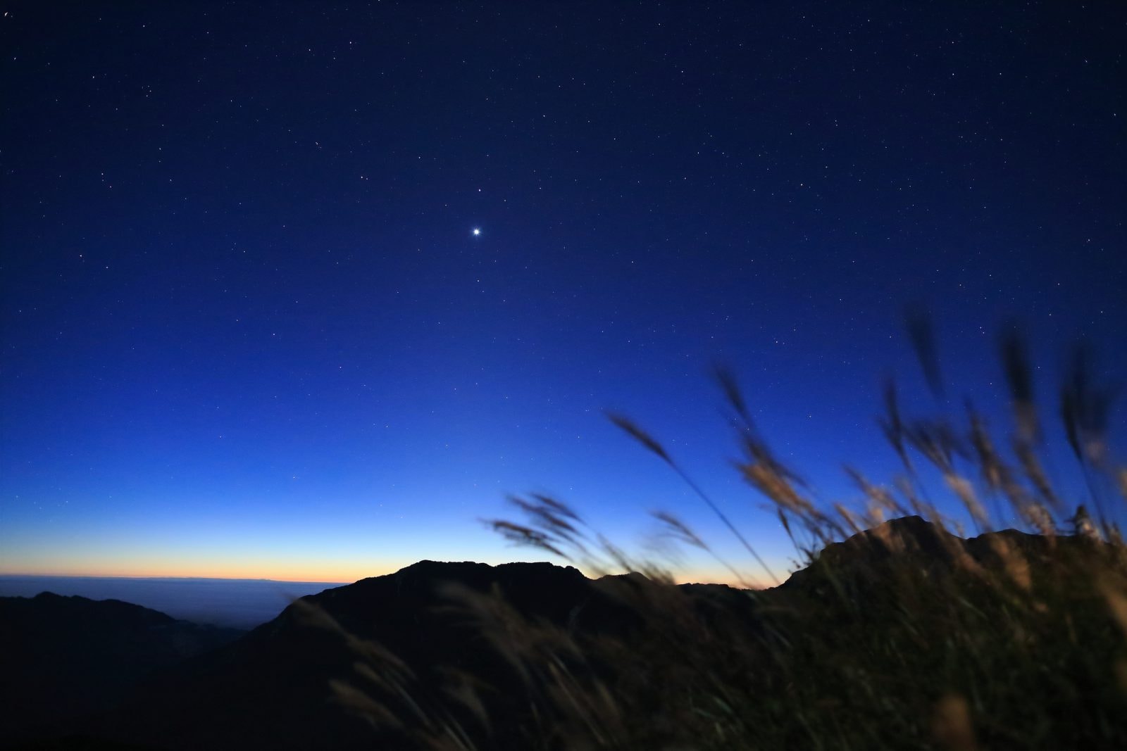 Syriusz: ciekawostki o najjaśniejszej gwieździe. Jak i kiedy ją obserwować?