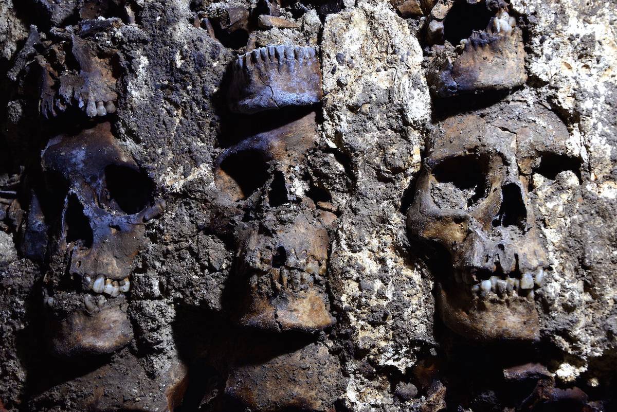 Odkryto wieżę z czaszek ponad setki kobiet, mężczyzn i dzieci