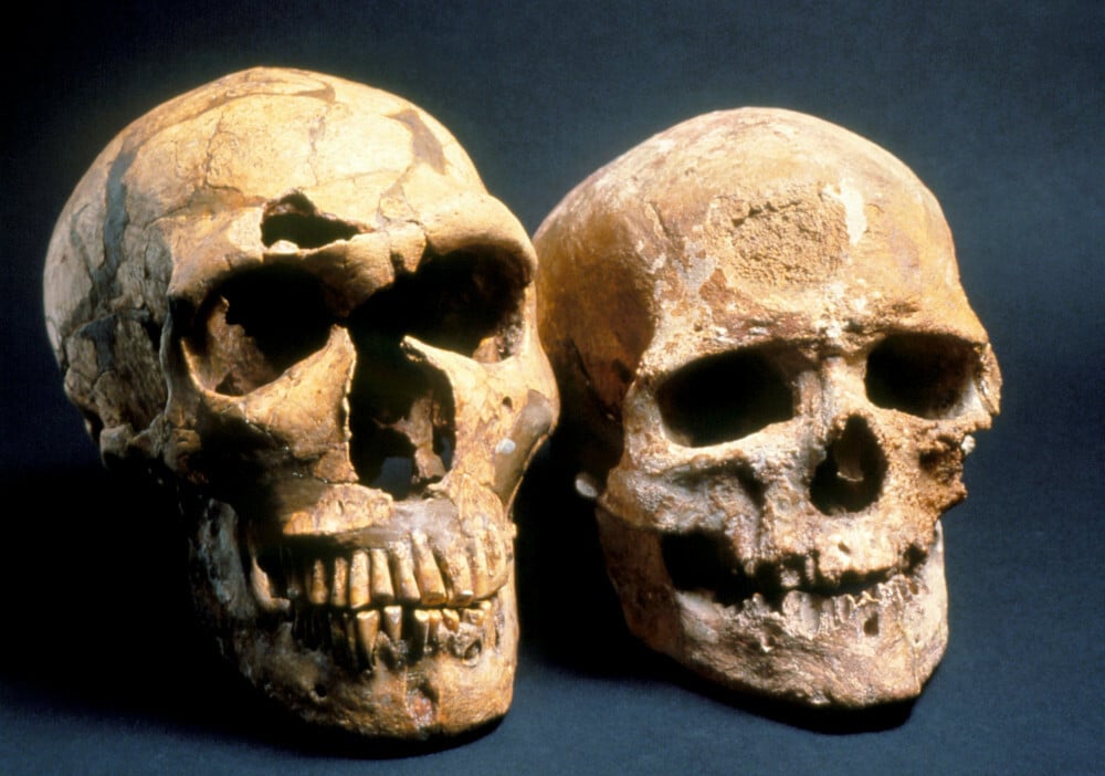 Tajemnicza choroba ręki dotyka tylko nielicznych. Jej źródło nie pochodzi od Homo sapiens