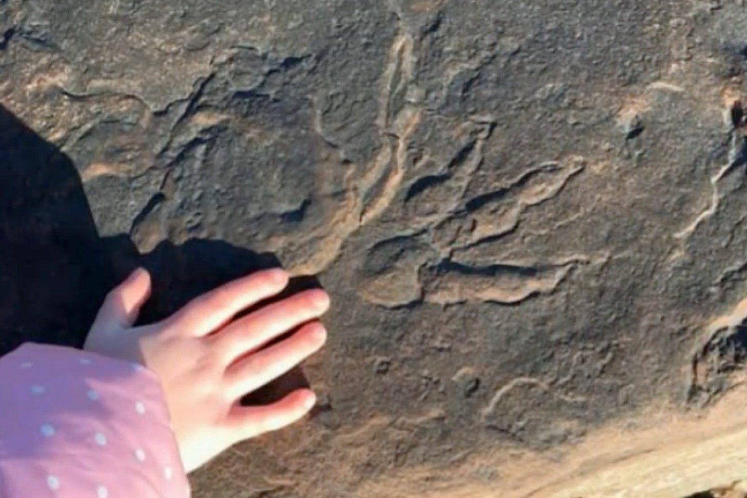 4-latka odkryła doskonale zachowany odcisk łapy dinozaura