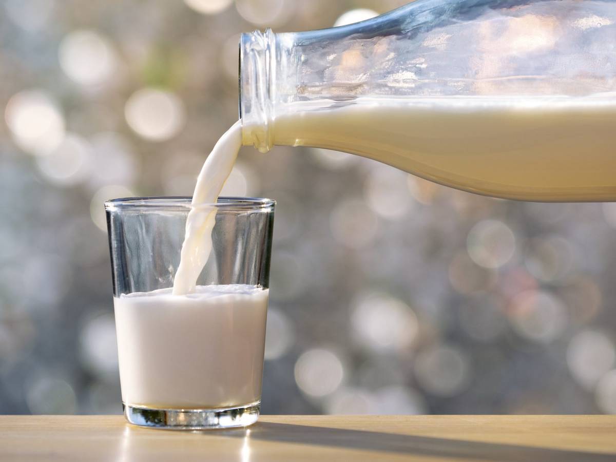 Ludzie pili mleko, zanim nauczyli się je trawić. Pomogły nam mutacje i dobór naturalny