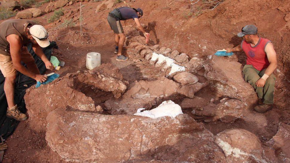 Odkryto szczątki największego tytanozaura w historii