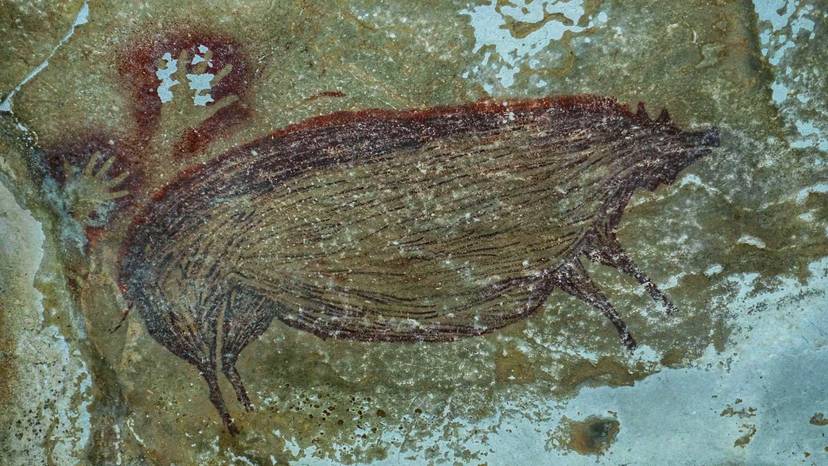 nowe-prawdopodobnie-najstarsze-malowidlo-naskalne-przedstawia-swinie