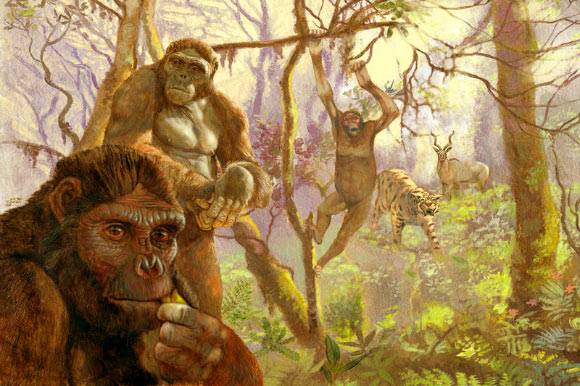 4,4 mln lat temu nasi przodkowie wspinali się jak szympansy. Potem nadszedł skok ewolucyjny
