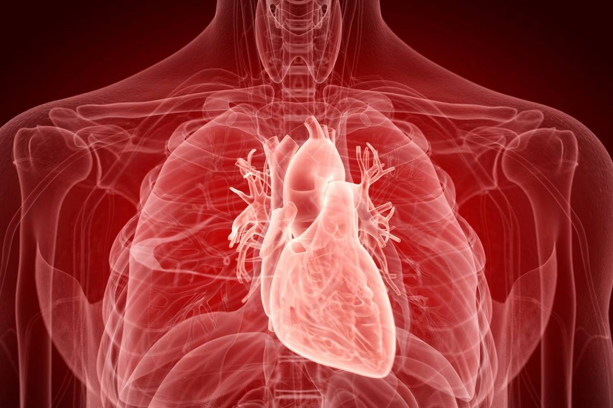 Odkryto w jaki sposób COVID-19 atakuje serce. Nie chodzi o zapalenie ani burzę cytokin
