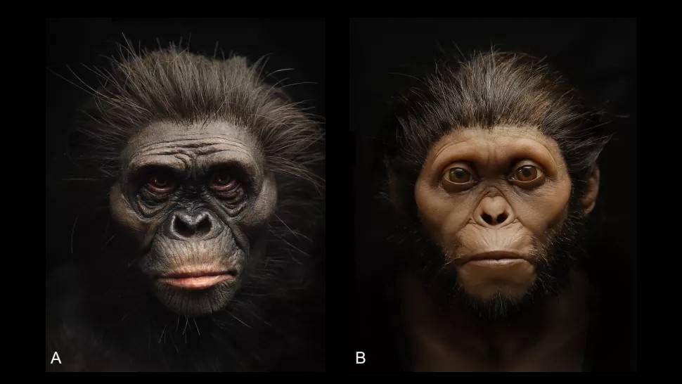 Nowa twarz Lucy. Zrekonstruowano wygląd prakobiety, która żyła 3,2 mln lat temu