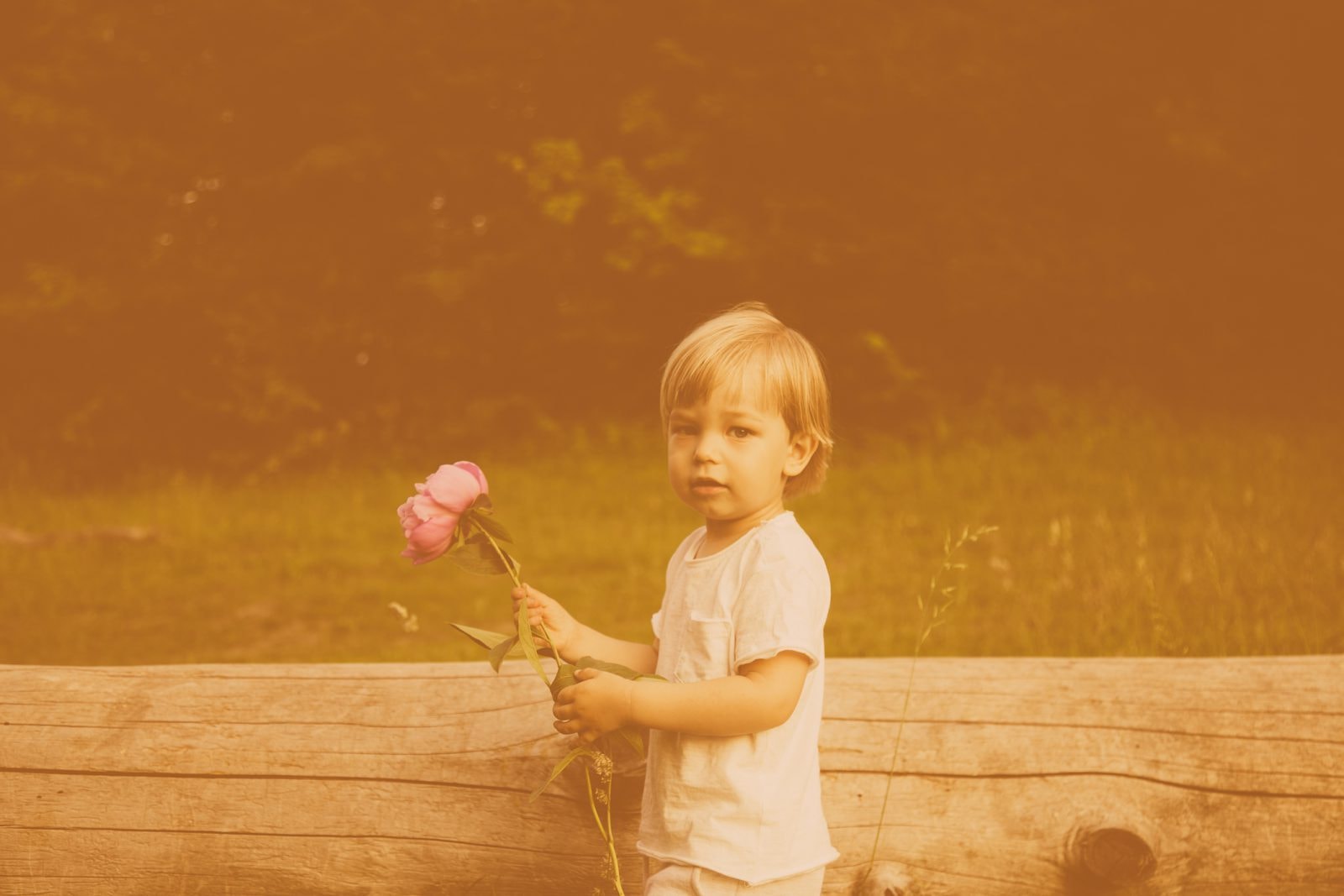 Porównano genomy ofiar Czarnobyla i ich dzieci. Dobra wiadomość