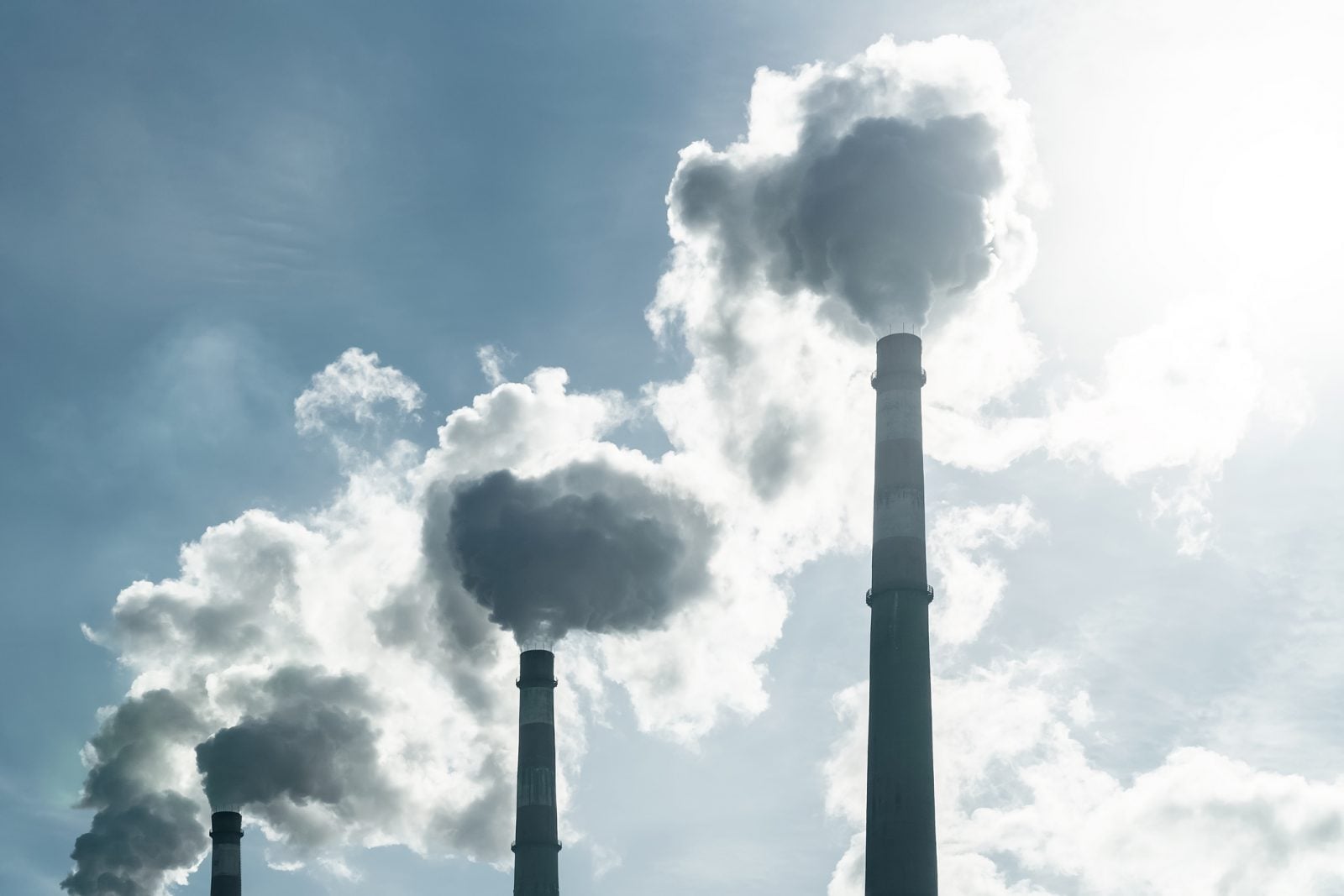 Koncerny będą składały „klimatyczne sprawozdania”. Nowa Zelandia wprowadza przełomowe prawo