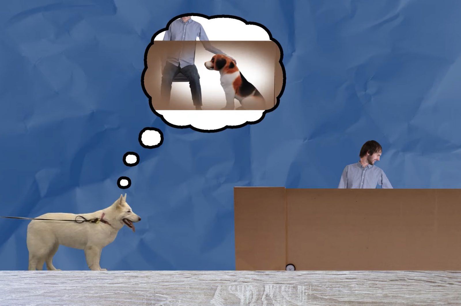 Psy są zazdrosne o inne czworonogi nawet, gdy nie widzą „rywala”