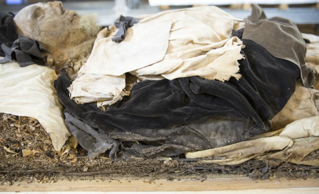 Sześciomiesięczny płód w trumnie biskupa. Tajemnica pochówku z XVII wieku wyjaśniona