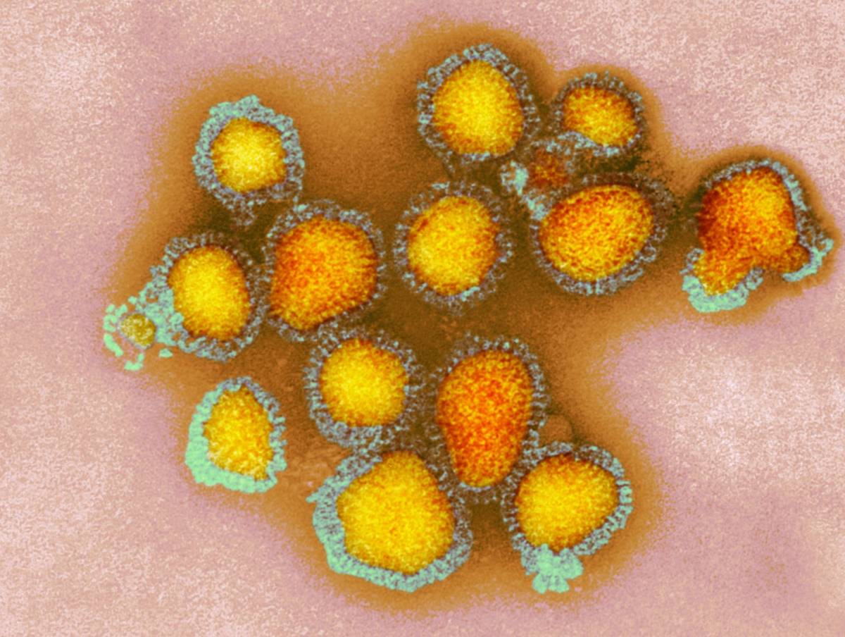 Dzięki pandemii COVID-19 wyginęła część wirusów grypy. To pomoże w opracowaniu szczepionek