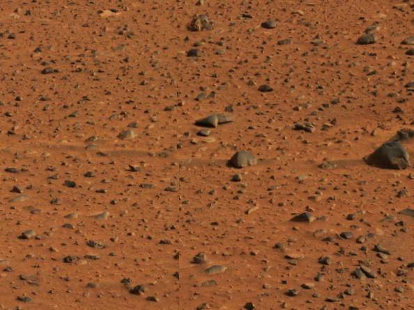 Marsjańską glebę będzie można uprawiać. Uczeni wiedzą, jak sprawić, by nie była toksyczna