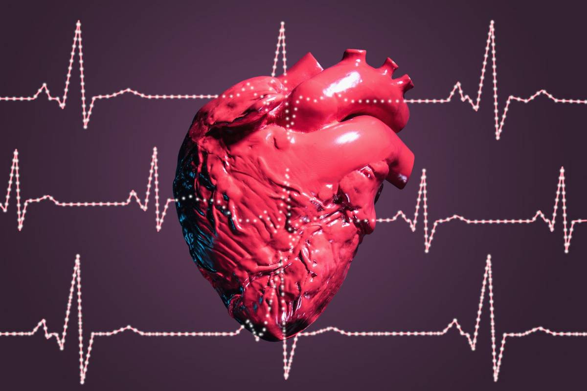 Serce po zawale można zregenerować
