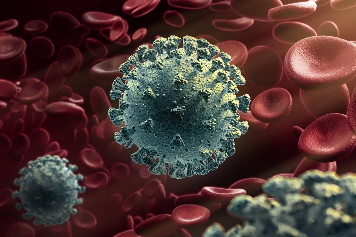Jak SARS-CoV-2 infekuje ludzkie komórki? Wreszcie znamy odpowiedź
