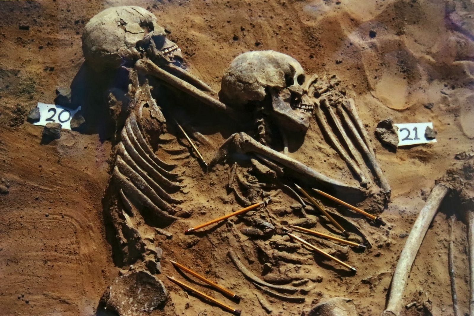 Zmiany klimatyczne wywołały najstarszą wojnę znaną nauce? Tajemnica Jebel Sahaba