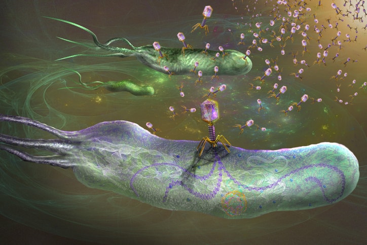 Wirusy służą człowiekowi. Zabijają bakterie, zwalczają nowotwory, leczą choroby genetyczne