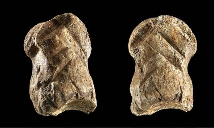 Neandertalczycy byli mniej dzicy niż sądzimy. Potwierdza to znalezisko sprzed 51 tys. lat