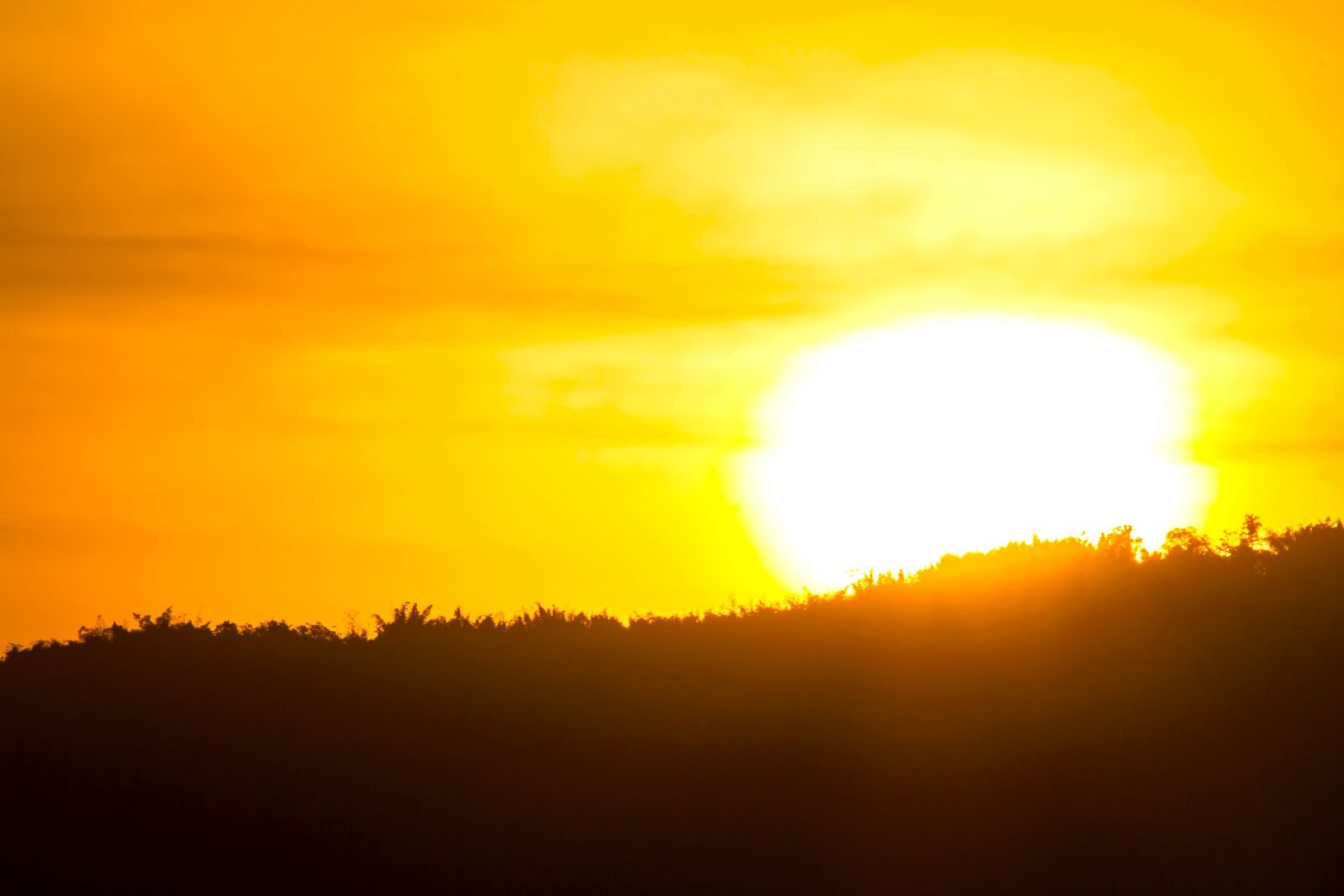 Upały zabijają 500 tysięcy ludzi rocznie. A będzie tylko gorzej