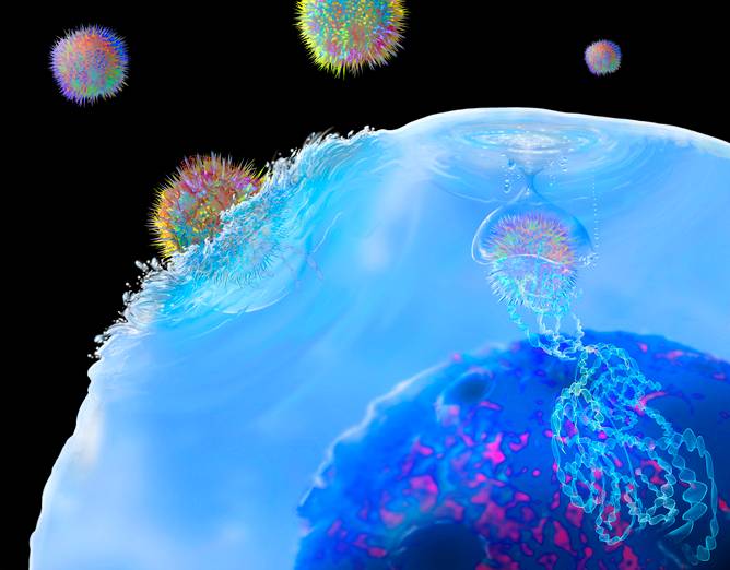 Wirusy w ludzkim DNA dbają o nasze zdrowie. Zaskakujące odkrycie naukowców