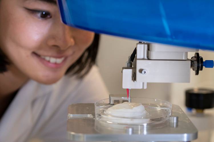 Ucho i nos z drukarki 3D. Naukowcy opracowali „biotusz” z ludzkich komórek i celulozy