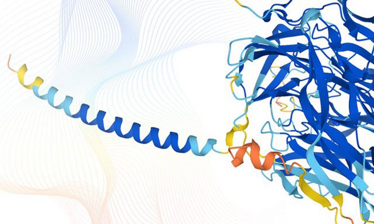 Znamy strukturę większości ludzkich białek. Przełomu w badaniach dokonała sztuczna inteligencja