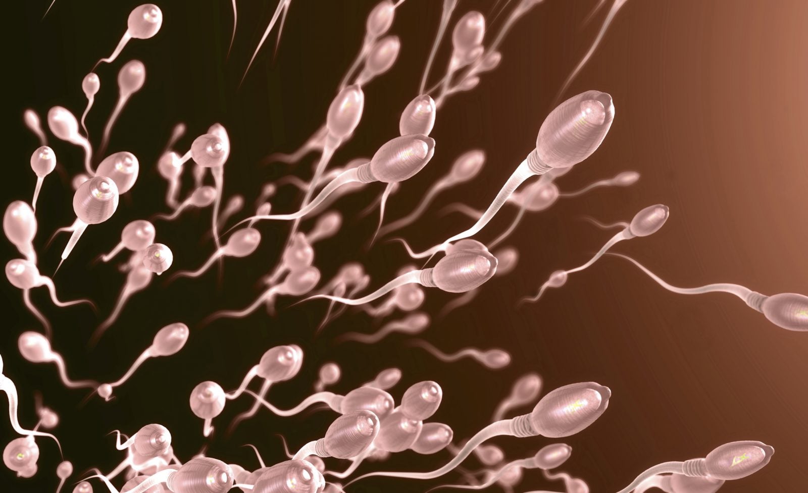 DNA w plemnikach jak klocki Tetrisa? Wystarczy jeden defekt, a pojawi się problem z płodnością